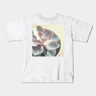 Echeveria Succulent #3 Kids T-Shirt